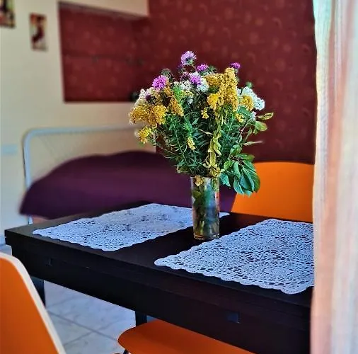 Apartamentai Palangos Centre Daire *